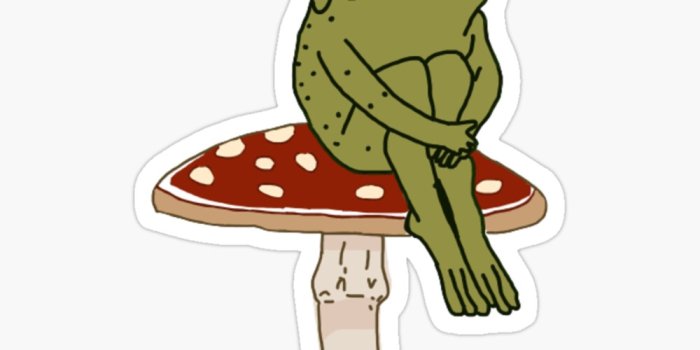 1000x1000 Mushroom Frog Wallpapers