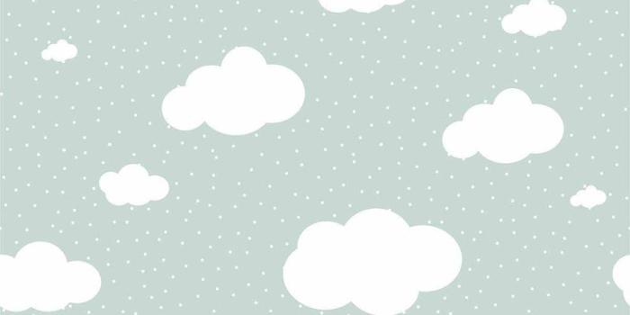 800x1008 SHOP Clouds Wallpaper in Sage Peel