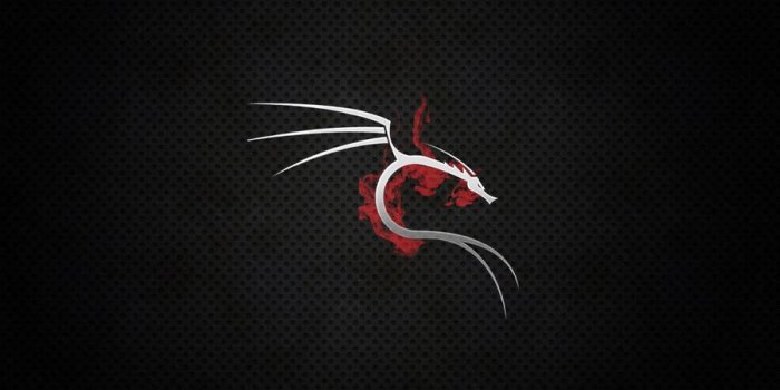 900x506 100+] Kali Linux Wallpapers