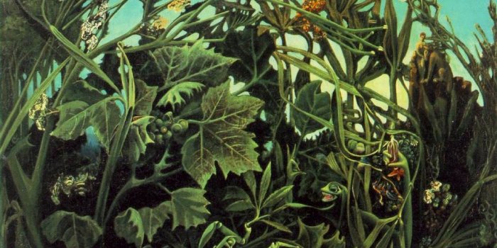 1010x800 Gallery of modern art, Max ernst paintings