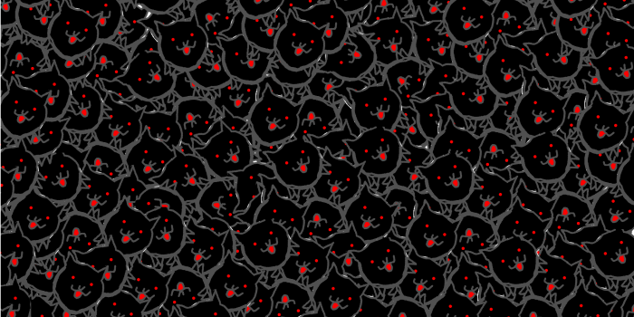 1920x1080 Battle Kitty Wallpapers