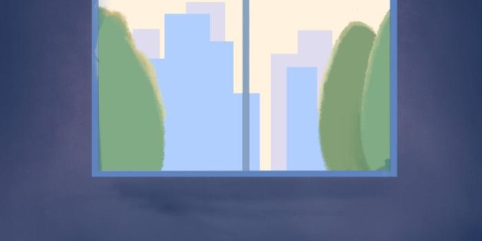 900x1600 cat phone wallpaper templates