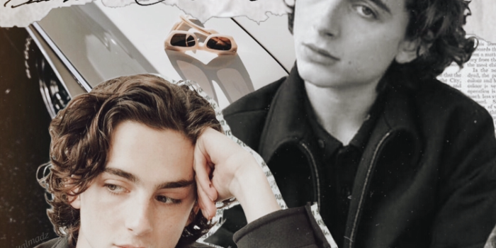 750x1334 Timotheé Chalamet wallpaper by