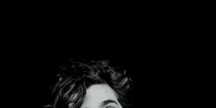 960x1843 timothee chalamet wallpaper | Timothee