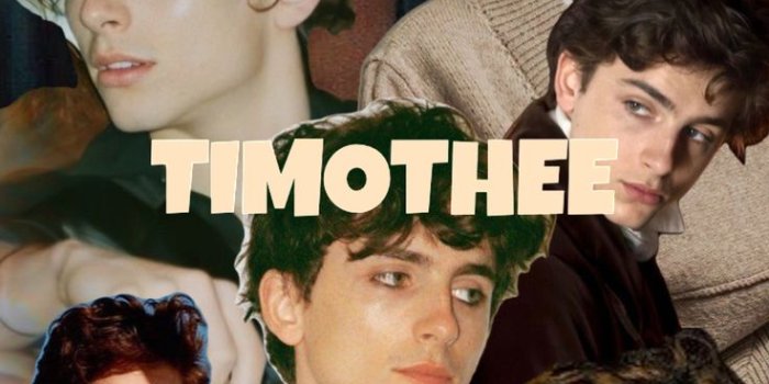 736x1308 Timothee Chalamet Wallpaper