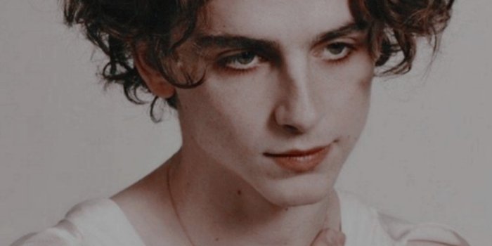 1080x1920 Timothée Chalamet Wallpapers - Top 30