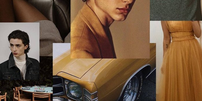 1080x1920 100+] Timothée Chalamet Wallpapers