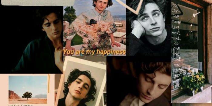 763x1145 chalamet wallpaper | Timothee chalamet