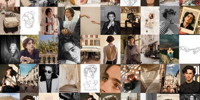 2230x1600 Chalamet Crema DIGITAL Wall Collage Kit