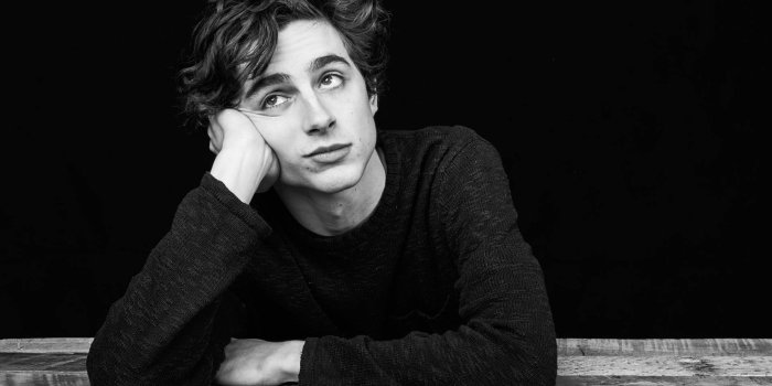 1920x1281 100+] Timothée Chalamet Wallpapers