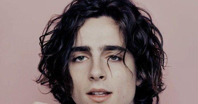 668x1200 Timothee Chalamet Phone Wallpapers