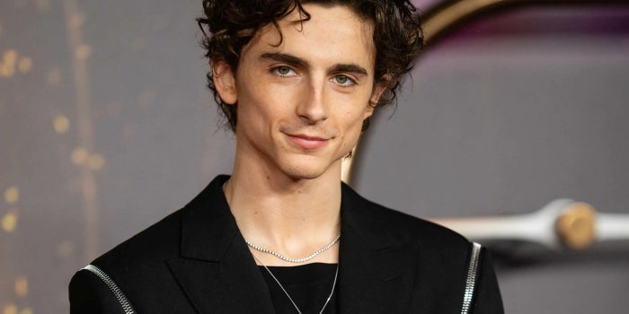2544x1431 50+] Timothée Chalamet Wallpapers
