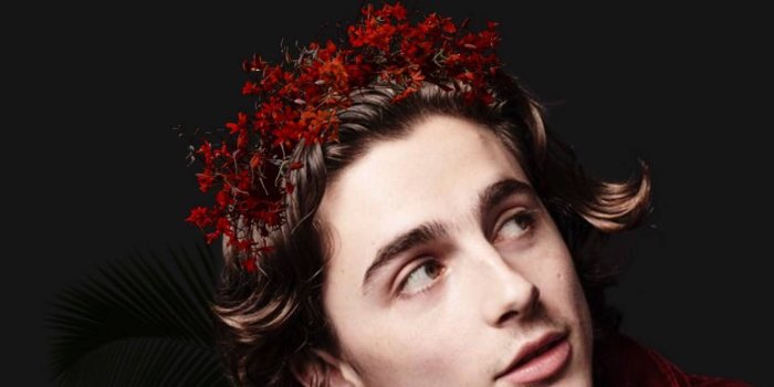1356x1920 100+] Timothée Chalamet Wallpapers