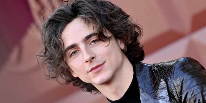 2560x1440 Chalamet Wears Full-Leather Suit