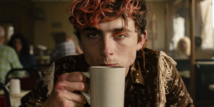4500x3000 Timothée Chalamet