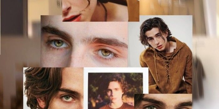 736x1309 Chalamet Wallpaper | Timothee chalamet