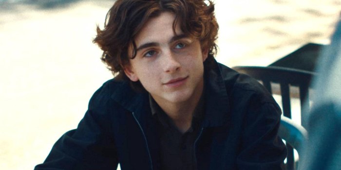 1920x1280 100+] Timothée Chalamet Wallpapers