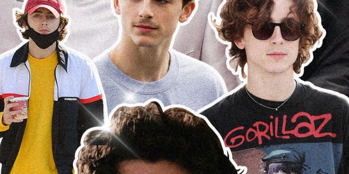 900x1600 Timmy Phone Wallpaper : r/timotheechalamet