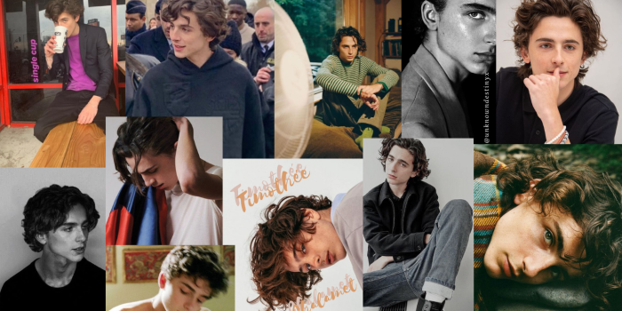 1366x768 Timothée Chalamet Macbook Wallpaper