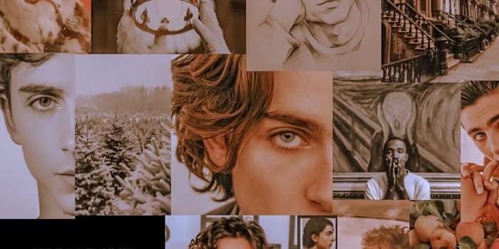 1191x2208 Timothée Chalamet Collage Wallpapers