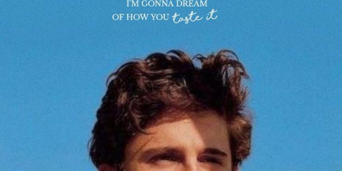 736x1594 Timothée Chalamet Wallpaper