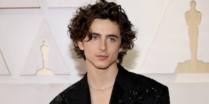 4998x3332 Went Shirtless on the Oscars 2022