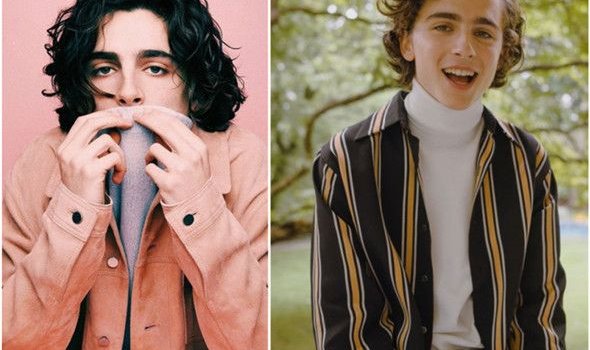 590x1377 Timothee chalamet, Iphone wallpaper