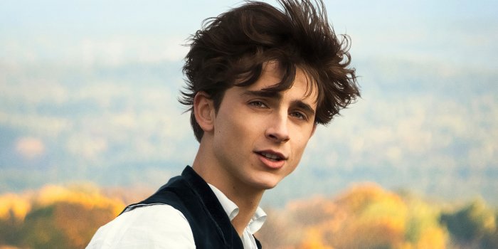 1366x768 1366x768 Timothee Chalamet In Little