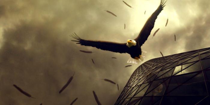 1280x800 Fearless Wallpapers