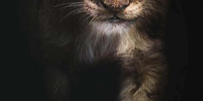 1080x1920 Download Stay Fearless Wallpaper