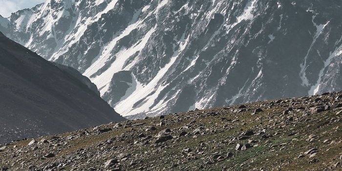 1250x2048 Qais Alamdar on X: 