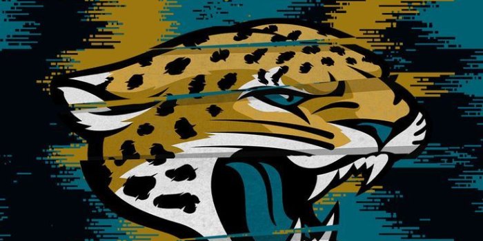 736x1308 Jacksonville Jaguars | Jaguars football