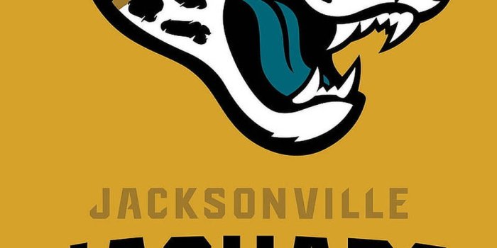 960x1920 200+] Jacksonville Jaguars Pictures