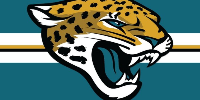 1080x1920 iPhone Wallpaper HD Jacksonville