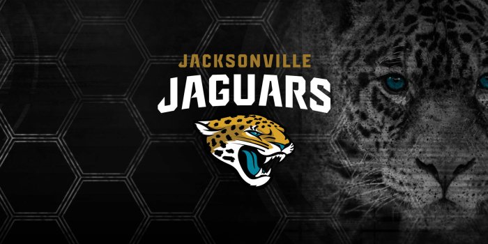 1800x1200 Jacksonville Jaguars Animals Wallpaper