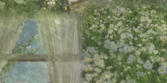 720x1280 Aesthetic Fairycore Wallpapers