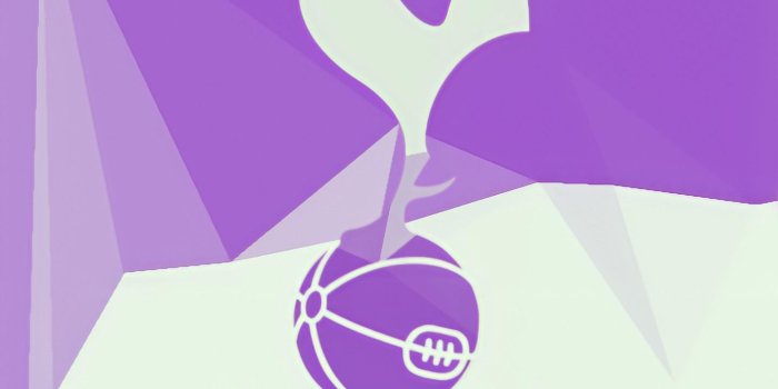 1440x3120 Tottenham wallpaper : r/coys