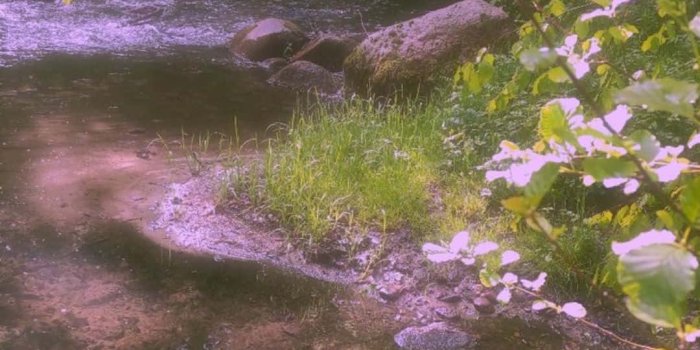 1080x1920 River View Fairycore Background