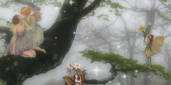 720x1280 Fairycore Aesthetic Wallpapers