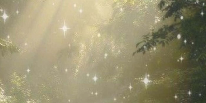 1080x1920 Download Forest Sparkle Aesthetic