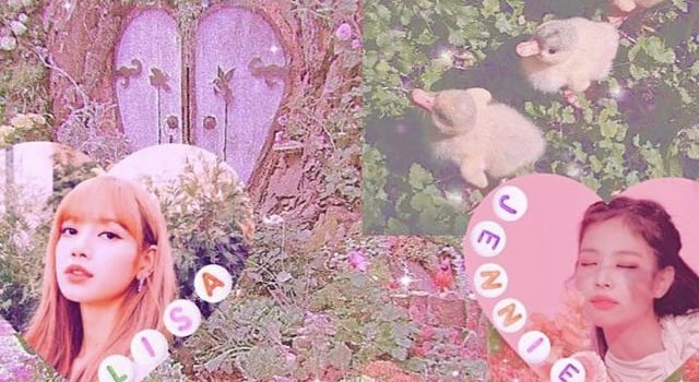 640x1562 new blackpink fairycore phone wallpaper