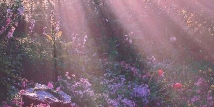 1080x1920 Fairycore Backgrounds | Wallpapers.com