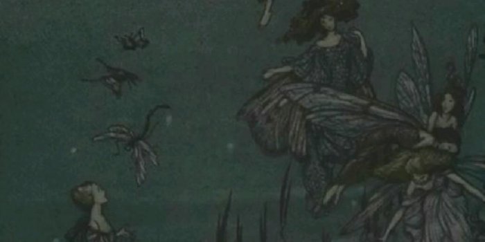 918x1632 fairy core | Fairycore wallpaper, Dark