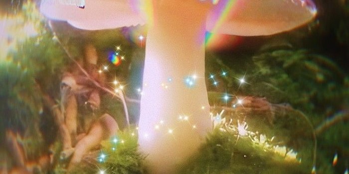 740x1479 Grunge Fairycore Wallpapers - Wallpaper