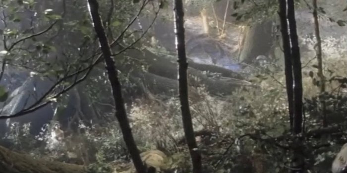 1280x1024 Download Aesthetic Fairycore Forest