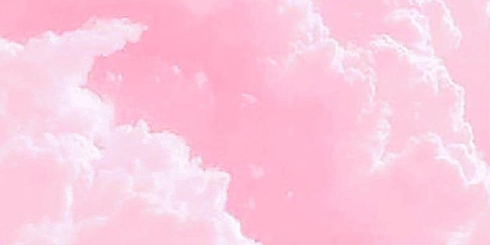 789x1725 new blackpink fairycore phone wallpaper