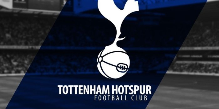 1080x1920 Tottenham Hotspur FC Wallpapers - Top