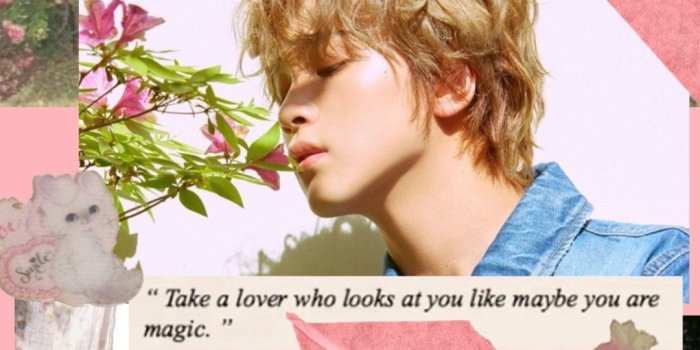 1080x1920 pink cottagecore/fairycore lockscreen