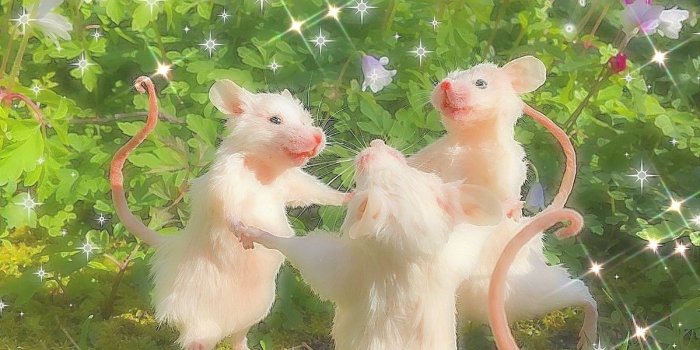 1200x1600 Fairycore Wallpapers