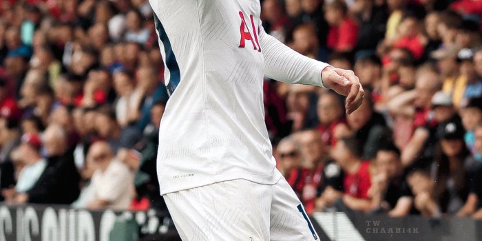 1890x4096 Tottenham Hotspur #COYS #THFC https